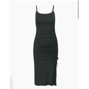 Aritzia Wilfred Riddle Dress